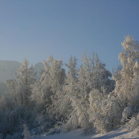 Apartamenty Paradis Zakopane Luaran gambar