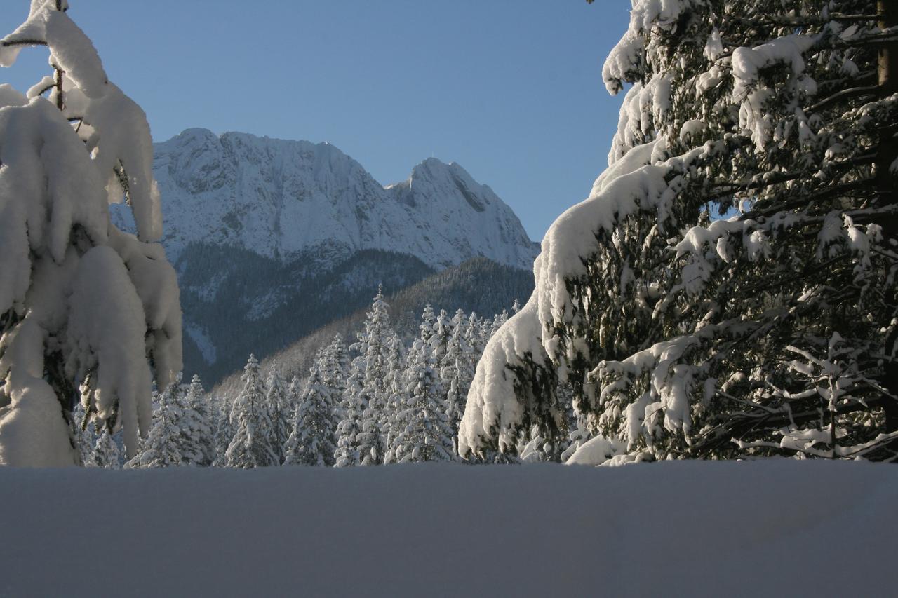 Apartamenty Paradis Zakopane Luaran gambar
